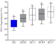 Figure 4. The rate of sperm DNA fragmentation after DG preparation and in vitro culture, boxes depict the 25th and 75th percentiles with indication of the median, and whiskers depict the 10th and 90th percentiles, a, b (p&lt;0.001), a, c (p&lt;0.001), a, d (p&lt;0.001), a, e (p&lt;0.001), b, c (p=0.049), d, e (p= 0.3)