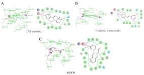 Figure 4. A-C) Binding interaction of estradiol-17&beta;, A) and cocrystal (resveratrol) B) and Octadecanoic acid, C) from the Scoparia dulcis extract which showed highest binding affinity among the seven docked compounds with ER&alpha;