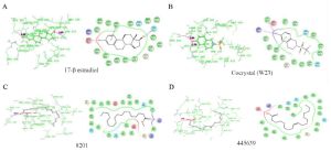 Figure 5. A-D) Binding interaction of estradiol-17&beta;, A) and cocrystal (2-[(trifluoromethyl) sulfonyl]-1,2,3,4-tetrahydroisoquinolin-6-ol), B) and two compounds methyl stearate, C) and Octadecanoic acid, D) from Scoparia dulcis extract which showed highest binding affinity among the seven docked compounds with ER&beta;