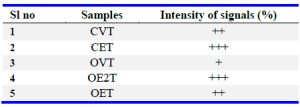 Table 1. Signal analysis of immunohistochemistry of PCNA in mice uterus using Image J software. Data are taken in triplicate (n=6)
+(&lt; 20%)=Less; ++(&lt;50%)=Moderate; +++(&lt;80%)=High
CVT- cyclic vehicle treated, CET- cyclic extract treated, OVT- OVX vehicle treated (Control), OE2T- OVX E2 treated, OET- OVX extract treated