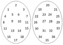 Figure 9. Systematic numbering of testes sampling site