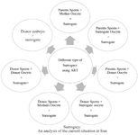 Figure 2. Seven possible combined forms of pregnancy in surrogacy by ART methods. Surrogacy is possible in the forms shown above and is done based on a contract which obligates the surrogate mother to deliver the child to the recipient family after pregnancy and childbirth. The traditional family structure is transformed in all these methods