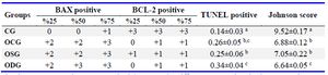 Table 3. Median (50%) and interquartile range values of BAX, BCL-2 positive cells of groups
* Johnson Score and TUNEL method (mean&plusmn;SD). Different superscripts in the same columns indicate a significant difference (a-c: p&lt;0.05)