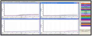 Figure 1. Real-time processing of human papillomavirus amplification products on a RotorGene