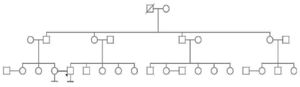 Figure 1. Pedigree analysis: Pedigree analysis of the proband up to previous three generations. White symbol (Square or circle)-a healthy person, white symbol (Square or circle with diagonal stroke)-death of that individual, individuals connected with double line&ndash;involved in consanguineous marriage, downward line with a single line&ndash;no issues, downward line with a double line&ndash;individual with infertility