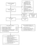 Figure 1. Study procedure