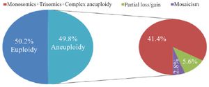 Figure 2. Rates of euploid and aneuploid blastocysts, the for-mer divided in different subclasses for morphokinetic analysis and chromosome screening in study group B