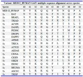 Table 5. MED-12 gene protein sequence for wild-type and mutated protein