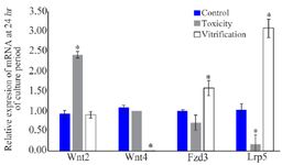 Figure 2. Relative mRNA expression of Wnt2, Wnt4, Fzd3, and Lrp5 in the PFs (n=60) at the 24th hr of culture period. The data are presented as relative fold changes (Mean&plusmn;SD) of three independent experiments.
* Shows significant difference compared to the control group&nbsp;(p&lt;0.05)