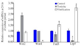 Figure 2. Relative mRNA expression of Wnt2, Wnt4, Fzd3, and Lrp5 in the PFs (n=60) at the 24th hr of culture period. The data are presented as relative fold changes (Mean&plusmn;SD) of three independent experiments.
* Shows significant difference compared to the control group&nbsp;(p&lt;0.05)