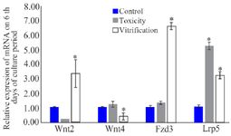 Figure 3. Relative mRNA expression of Wnt2, Wnt4, Fzd3, and Lrp5 in the PFs (n=60) on the 6th day of culture period. The data are presented as relative fold changes (Mean&plusmn;SD) of three independent experiments.
* Shows significant difference compared with control group&nbsp;(p&lt;0.05)&nbsp;