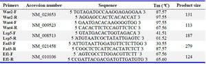 Table 1. List of primers