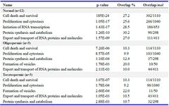 Table 2. List of top biological processes involved comparing three different phenotypes