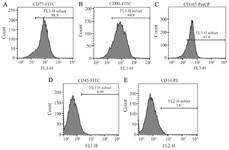 Figure 2. The isolated mesenchymal stem cells from ovarian tissue with fibroblast like morphology expressed mesenchymal lineage specific markers including CD73, CD90, and CD105 (88.9%, 88.8%, and 81.0%, respectively) and did not express CD34 and CD45 according to flow cytometry results