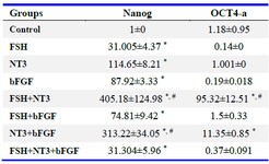 Table 2. Effect of bFGF, FSH and NT3 on expression of pluripotent marker by qRT-PCR
OCT4-A was clearly up-regulated in response to FSH+NT3 and bFGF+FSH treatment compared to untreated control and, Nanog was clearly up-regulated in all groups especially in response to FSH+NT3 and NT3+bFGF treatment compared to untreated control. Values are mean fold changes obtained with respect to untreated controls. Data are expressed as means&plusmn;SEM. 
&#8270; Compared to control group. # Compared to other groups (p&lt;0.05)