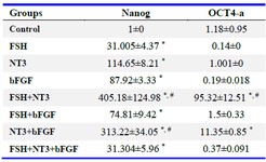 Table 2. Effect of bFGF, FSH and NT3 on expression of pluripotent marker by qRT-PCR
OCT4-A was clearly up-regulated in response to FSH+NT3 and bFGF+FSH treatment compared to untreated control and, Nanog was clearly up-regulated in all groups especially in response to FSH+NT3 and NT3+bFGF treatment compared to untreated control. Values are mean fold changes obtained with respect to untreated controls. Data are expressed as means&plusmn;SEM. 
&#8270; Compared to control group. # Compared to other groups (p&lt;0.05)