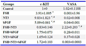 Table 3. Effect of bFGF, FSH and NT3 on expression of germ cell marker by qRT-PCR
c-KIT was up-regulated in response to NT3 and bFGF treatment compared to untreated control and, VASA was up-regulated in res-ponse to FSH+NT3 treatment compared to untreated control. Values are mean fold changes obtained with respect to untreated controls. Data are expressed as means&plusmn;SEM. 
&#8270; Compared to control group. # Compared to other groups (p&lt;0.05)