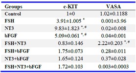 Table 3. Effect of bFGF, FSH and NT3 on expression of germ cell marker by qRT-PCR
c-KIT was up-regulated in response to NT3 and bFGF treatment compared to untreated control and, VASA was up-regulated in res-ponse to FSH+NT3 treatment compared to untreated control. Values are mean fold changes obtained with respect to untreated controls. Data are expressed as means&plusmn;SEM. 
&#8270; Compared to control group. # Compared to other groups (p&lt;0.05)