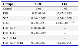 Table 4. Effect of bFGF, FSH, and NT3 on expression of transition marker by qRT-PCR
Lhx was up-regulated in response to bFGF treatment compared to untreated control. GDF was up-regulated in response to FSH+ NT3 treatment compared to untreated control. Values are mean fold changes obtained with respect to untreated controls. Data are expressed as means&plusmn;SEM. 
&#8270; Compared to control group. # Compared to other groups (p&lt;0.05)
