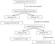 Figure 1. Timeline-based strategy of rescue-ICSI and grouping. The cycles were divided into three groups based on the two-step observation of fertilization signs (second polar body). To avoid duplicated sperm insemination, r-ICSI was only performed when the fertilization sign was detected in &lt;30% of all oocytes after 6 hr of sperm oocyte co-incubation