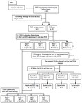 Figure 1. Flowchart of fetal RHD genotyping using cffDNA
Neg: negative, n: number, +: positive, -: negative
