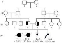 Figure 1. Four generation pedigree of a family with pseudo-TORCH syndrome

