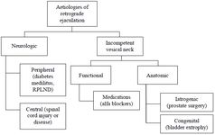 Figure 1. Aetiology of retrograde ejaculation