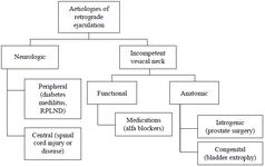 Figure 1. Aetiology of retrograde ejaculation