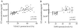 Figure 4. Correlation between concentration of estradiol (E2) in follicular fluid with the expression of (A) voltage-dependent anion channel 1 (VDAC1) and (B) translocator protein (TSPO) in GCs of 43 PCOS patients and 43 controls, as determined by Spearman&rsquo;s correlation analysis