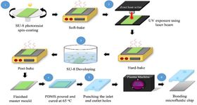 Figure 2. Fabrication process of sperm-sorting microfluidic chips using photolithography for our designed master mold (steps 1&ndash;3) and soft lithography for a PDMS-based microfluidic chip (steps 4&ndash;6). PDMS, polydimethylsiloxane
