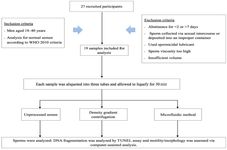 Figure 3. Flowchart outlining the study protocol. WHO, World Health Organization
