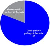 Figure 3. Comparison of percentages of amniotic fluid samples with inhibition zone in pathogenic bacteria
