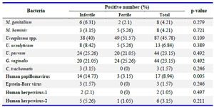 Table 2. Association between the presence of Mycoplasma genitalium, Mycoplasma hominis, Ureaplasma spp., Ureaplasma urealyticum, Ureaplasma parvum, Chlamydia trachomatis, Gardnerella vaginalis, human papillomavirus, Epstein-Barr virus, human herpesvirus-1, and human herpesvirus-2 in cervical cytobrush specimens of fertile and infertile women