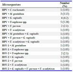 Table 4. Frequency of co-existence of tested bacteria and viruses in infertile specimens


genitalium: Mycoplasma genitalium, U. parvum: Ureaplasma par-vum, U. urealyticum: Ureaplasma urealyticum, C. trachomatis: Chlamydia trachomatis, G. vaginalis: Gardnerella vaginalis, HPV: human papillomavirus, HSV-1: human herpesvirus-1, HSV-2: human herpesvirus-2

