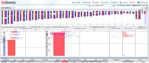 Figure 5. A representative genome view of array CGH data of the test sample