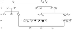 Figure 1. Family pedigree, arrow indicates the proband; solid symbols show the affected child, open symbols represent clinically asymptomatic individuals, and triangles stand for spontaneous abortions
