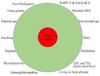 Figure 2. Reported factors affecting fetal fraction
* Negative correlation between maternal age and BMI/body weight with fetal fraction was detected. Likewise, LDL, cho-lesterol, triglyceride level, metformin, heparin and enoxa-parin therapy, hemoglobin-related hemoglobinopathies, and physical activity showed negative associations. Positive cor-relation was seen between gestational age, free &beta;-hCG, PAPP-A, living in high altitude, and twin pregnancy. There appears to be a potential race-dependent association with fetal fraction
