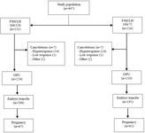 Figure 1. Flow chart of the study population, including both groups of FSH/LH 300/150 and FSH/LH 300/75
