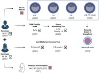 Figure 1. Summary illustration of investigations performed. The karyotype analysis was conducted for the couple due to their history of multiple miscarriages, and the products of conception were tested for one of the miscarriages. The embryos created through assisted reproductive technologies were found to be aneuploid following PGT-A testing. Created with BioRender.com