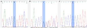 Figure 1. Sequence analysis chromatogram of wild-type (A), heterozygous (B), and del/del homozygous alleles (C) of DEFB126