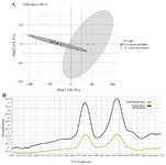 Figure 2. A) The principal component analysis (PCA) results of the data matrix of seminal plasma of testicular cancer (TC seminal plasma) patients (--▲--) versus healthy men (nor-mozoospermic men) (--n--). B) The Raman spectra mean for seminal plasma of testicular cancer (―) and healthy groups (--). The region of 2,800-3,000 cm-1 corresponds to the -CH group