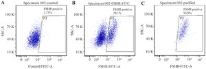 Figure 2. Flow cytometry analysis for Sertoli cell purification. A) unstained control showing minimal background fluorescence (1.77%), B) FSHR-positive population identified in the test sample (29.1%, gated as P3), and C) post-sorting analysis demonstrating 93.8% purity of the isolated Sertoli cell population