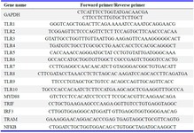 Table 1. Sequence of primers used in this study