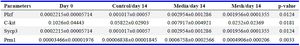 Table 3. Fold changes in gene expression levels measured by real-time PCR

Quantitative gene expression analysis by qRT-PCR for premeiotic, meiotic, and post-meiotic SSC markers: (A) Plzf, (B) c-kit, (C) Sycp3, and (D) Prm1 after 14 days of culture. &beta;-actin was used as the housekeeping gene to normalize expression levels. Statistical comparisons among groups were performed using one-way ANOVA followed by Tukey&rsquo;s post hoc test. Groups with different superscript letters are significantly different (p<0.05). Data are presented as mean&plusmn;SD (n=3)