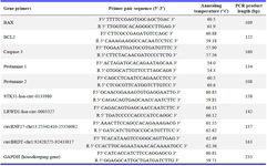 Table 1. Characteristics of primers designed for genes
