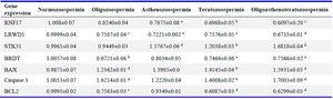 Table 3. Results of gene expression analysis in the control and infertile groups
The relative expression of genes in all infertile groups was significantly different compared with control (normozoospermia) group, with p-values of a <0.05, b <0.01, c <0.001 and d <0.0001