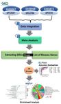 Figure 1. Schematic flowchart of the study