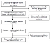 Figure 1. Flowchart of embryo transfers identified, included and excluded