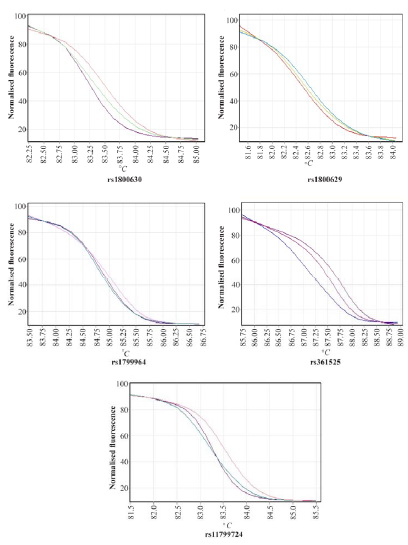 Figure 1. Normalized graphs for HRM of different TNF-&alpha; gene&rsquo;s promoter polymorphisms