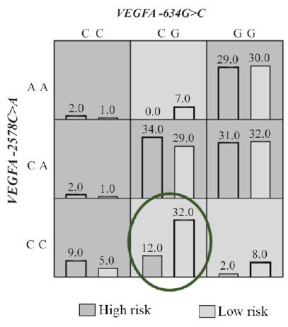 Figure 1. Distribution of high- and low-risk genotypes in the best two-locus model VEGFA(-634G&gt;C (rs2010963), -2578C &gt;A) (rs699947). High- (Dark shading) and low-risk (Light shading). The number of pregnancy loss subjects (Left black bar in boxes) and control subjects (Right black bar in boxes) is shown for each genotype combination. Significant low risk genotype is marked by the oval (p&lt;0.05)